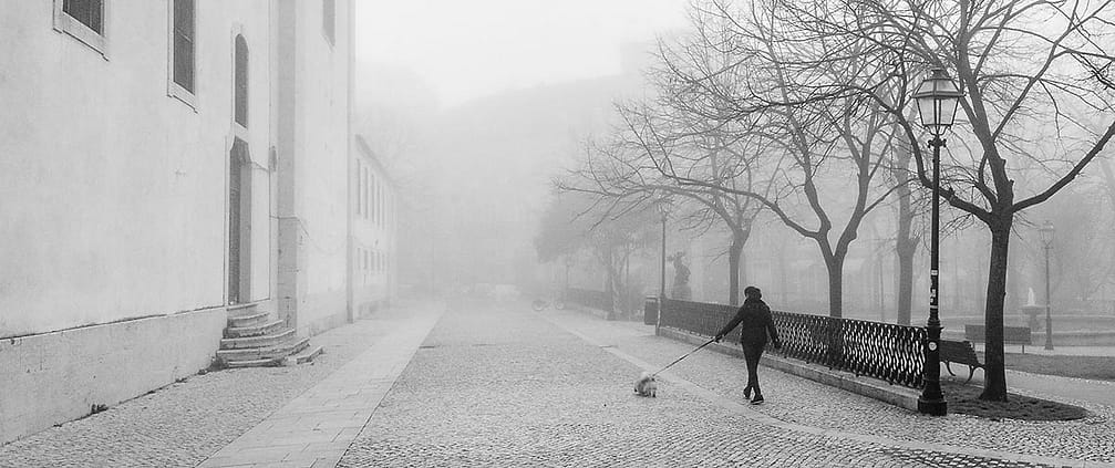 Foggy morning in Graça, Lisbon
