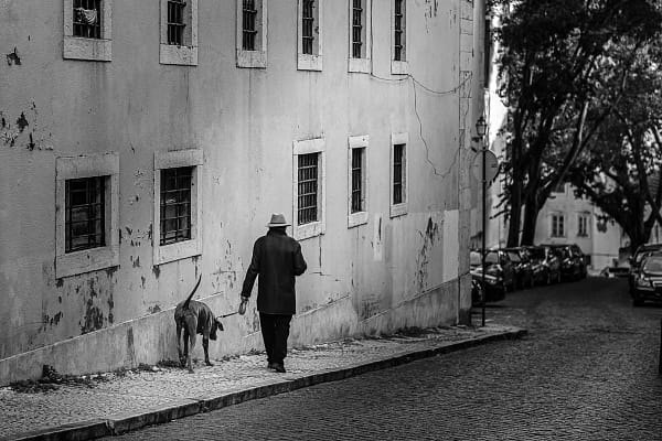 Dog walker in Graça